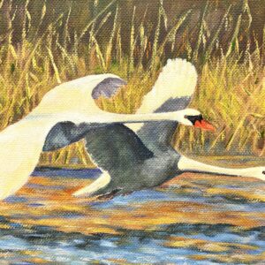 Original Swedish Oil Painting – Flying Swans Over Water – 1947 - Image 6