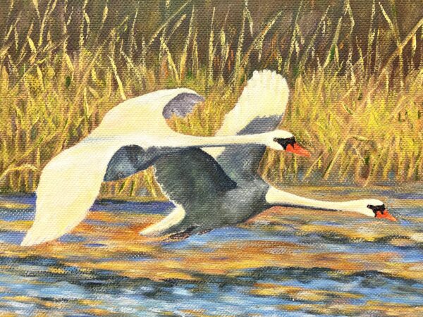 Original Swedish Oil Painting – Flying Swans Over Water – 1947