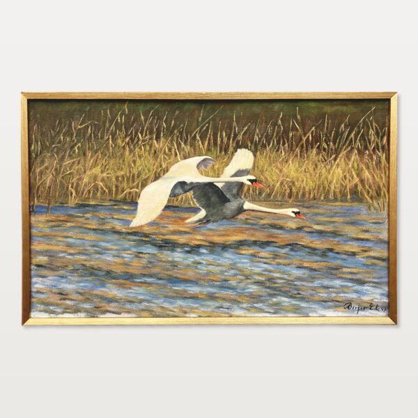 Original Swedish Oil Painting – Flying Swans Over Water – 1947